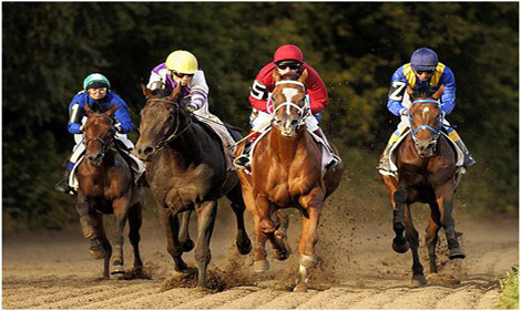 Ставки на лошадиные бега онлайн запрещен онлайн покер